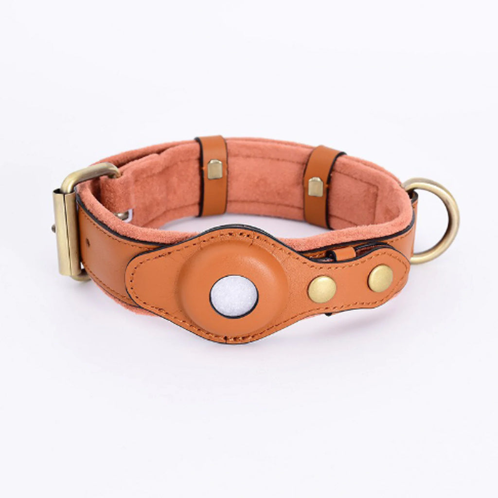 Airtag Dog Collar Pet Collar